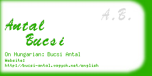 antal bucsi business card